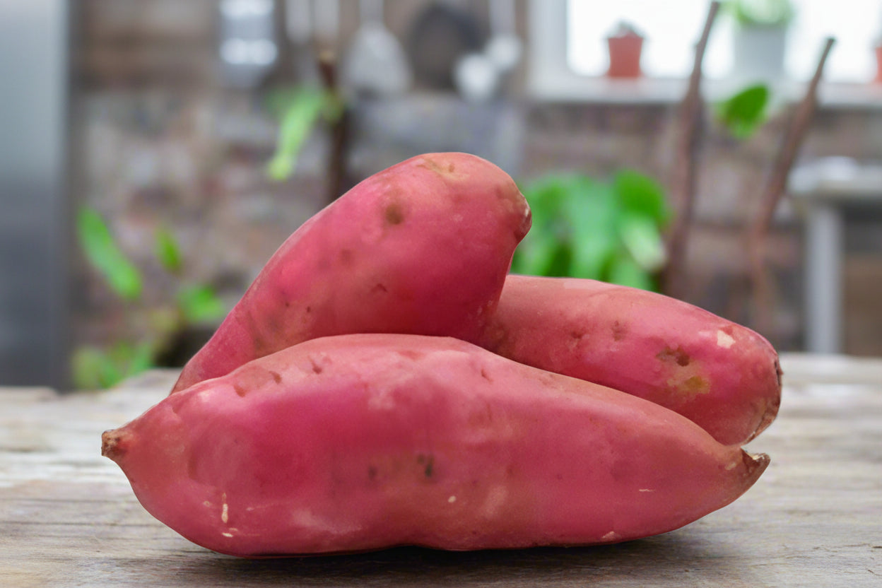 Fresh Caribbean Batata Lb