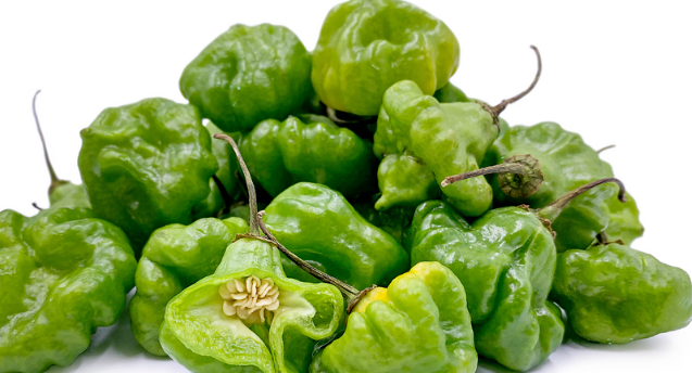 SWEET PEPPER CACHUCHA 12 - 14 CT