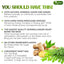 Premium Moringa Ginger Herbal Tea