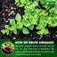 Premium Dried Oregano Leaves – 100% Pure, Non-GMO, Gluten-Free, Vegan – Aromatic Herb for Cooking, Seasoning, Sauces, and Pizza