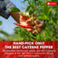 Premium Cayenne Pepper Powder– Pure Ground Red Pepper, Bold and Spicy Flavor