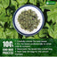 Premium Dried Basil – 100% Pure, Non-GMO, Gluten-Free, Vegan – Aromatic Culinary Herb for Cooking, Garnish, and Seasoning