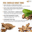 Burdock Root Tea Bags, 100% Natural & Pure from Burdock Root. Burdock Root Herbal Tea. Burdock Root Tea. No Sugar, No Caffeine, No Gluten, Vegan.