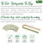 Premium Moroccan Mint Green Tea | Traditional Green Tea with Spearmint –  Premium Quality Herbal Blend.
