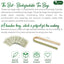 Premium Oregano Herbal Tea with Jasmine-Like Notes | Blend of Oregano, Thyme & Lemongrass