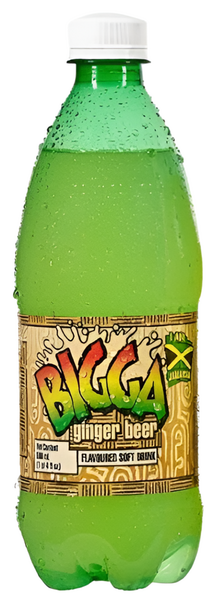 BIGGA GINGER BEER 600 ML