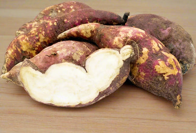 Fresh Sweet Boniato- Boniato Cubano dulce 2LB