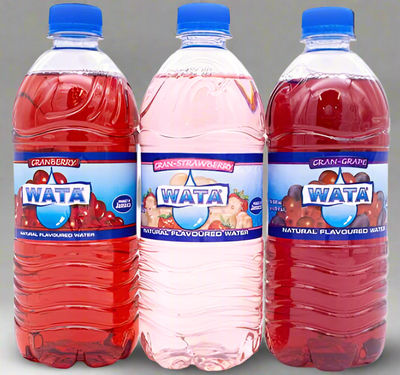 Three bottles of Wata flavored water with different flavors on a gray background