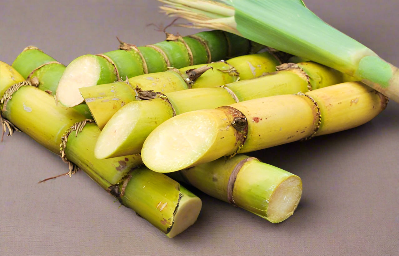 FRESH SUGAR CANE/CAÑA DE AZUCAR 4 STICKS