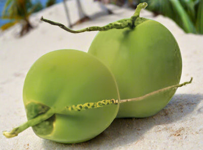 GREEN COCONUT WITH WATER/COCO VERDE DE AGUA