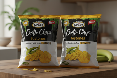 Grace Tostones Exotic Chips 2.65 oz