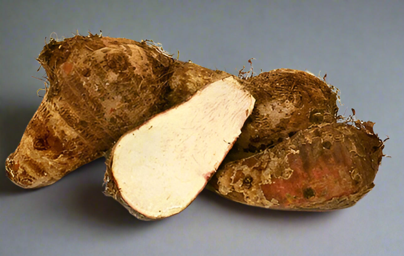 FRESH MALANGA EDDO LB