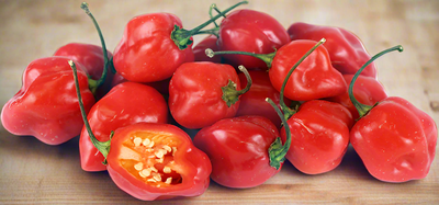 FRESH RED HOT PEPPER HABANERO 12PK