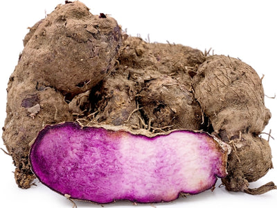 PURPLE YAM LB