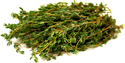 FRESH THYME /TOMILLO PK