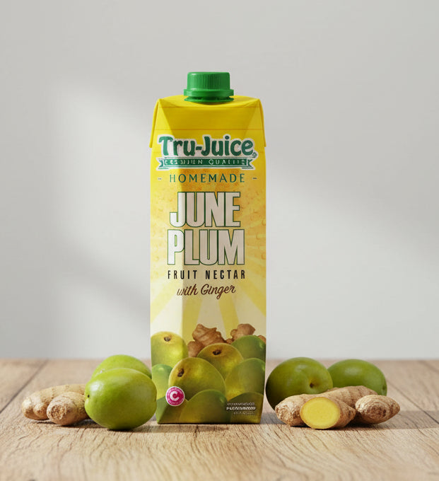 Tru-Juice June plum w/Ginger 500ml