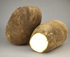 FRESH WHITE YAM (2lb to 3lb per YAM) $2.99 AVG PER LB