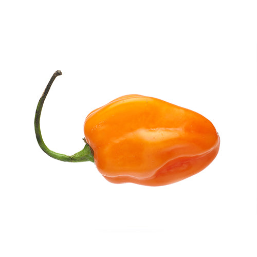 HABANERO HOT PEPPER