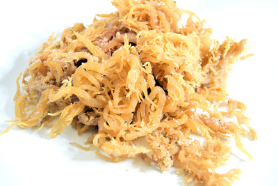 IRISH MOSS / SEA MOSS