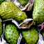 Fresh Soursop